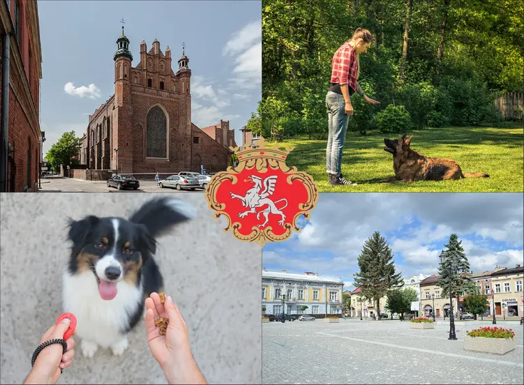 Brzesko - cennik szkolenia psów - zobacz lokalne ceny tresury i psich przedszkoli