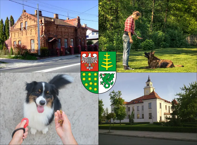 Ostrów Mazowiecki - cennik szkolenia psów i psich behawiorystów