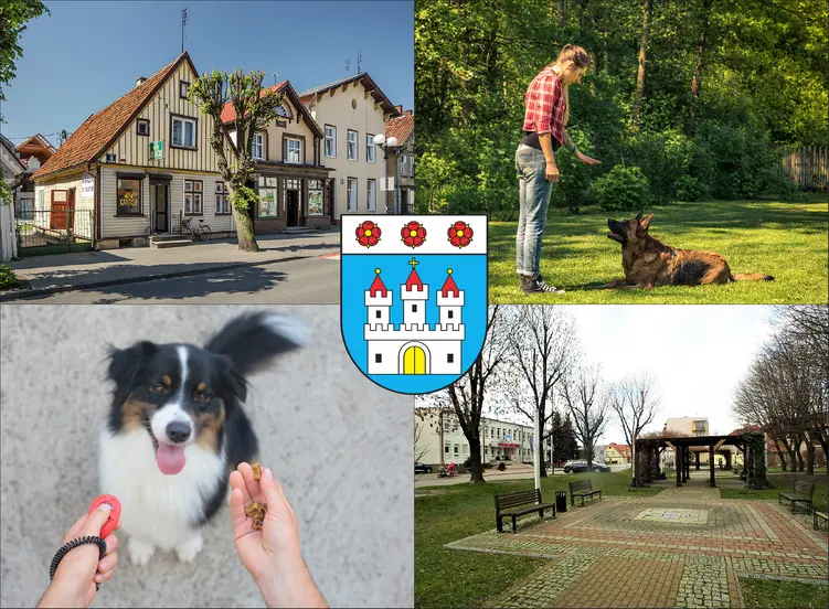 Nowy Dwór Gdański - cennik szkolenia psów - zobacz lokalne ceny tresury i psich przedszkoli