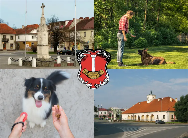 Staszów - cennik szkolenia psów - zobacz lokalne ceny tresury i psich przedszkoli