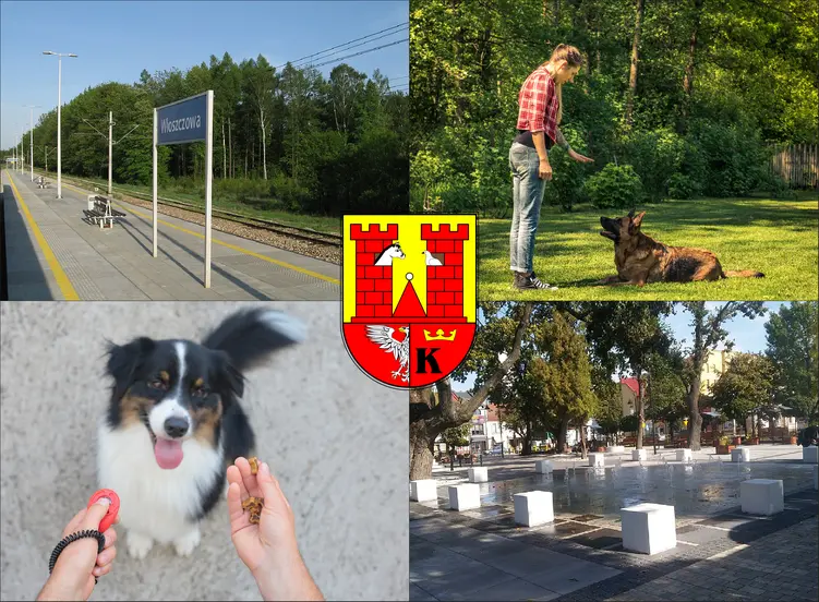 Włoszczowa - cennik szkolenia psów - zobacz lokalne ceny tresury i psich przedszkoli