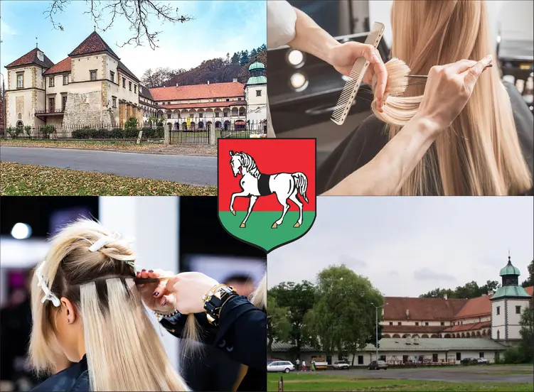 Sucha Beskidzka - cennik fryzjerów - zobacz lokalne ceny w salonach i u barberów