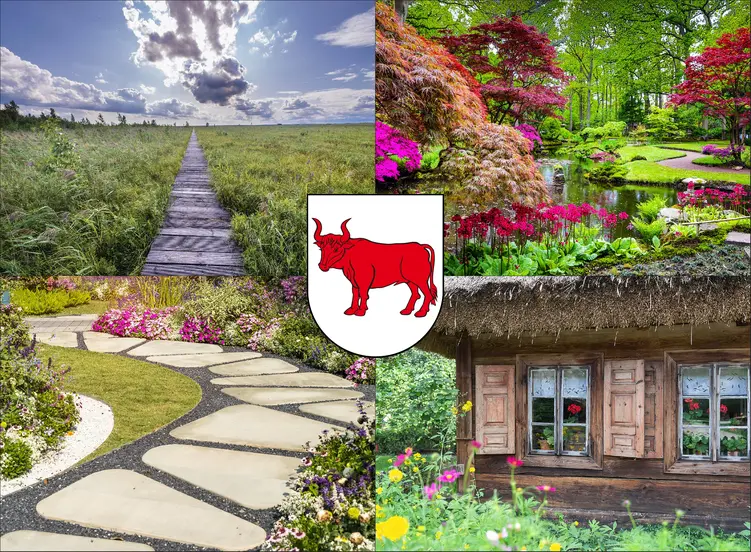 Bielsk Podlaski - cennik projektowania ogrodów - sprawdź lokalne ceny aranżacji ogrodu