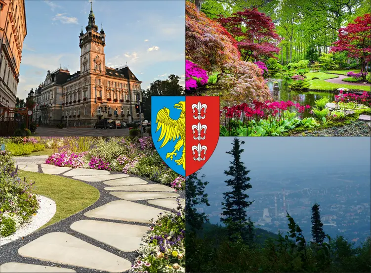 Bielsko-Biała - cennik projektowania ogrodów - sprawdź lokalne ceny aranżacji ogrodu