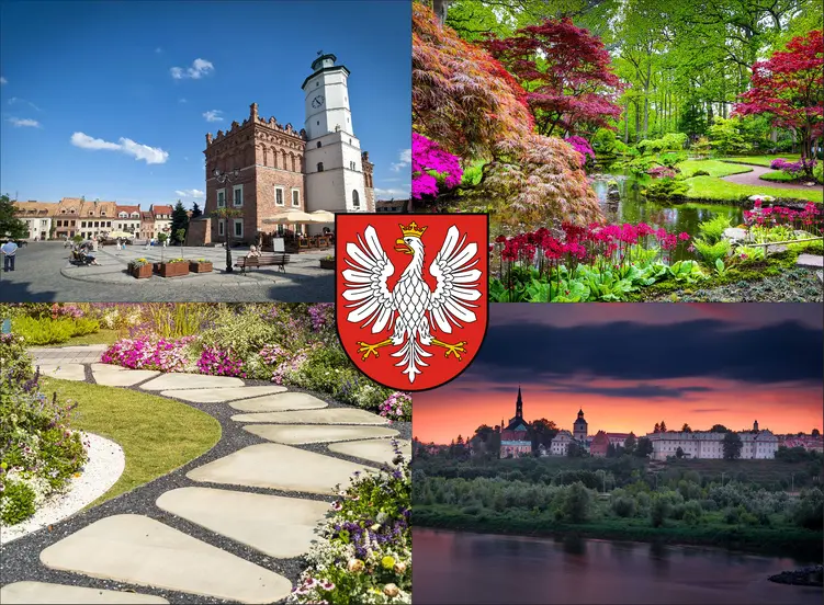 Sandomierz - cennik projektowania ogrodów - sprawdź lokalne ceny aranżacji ogrodu