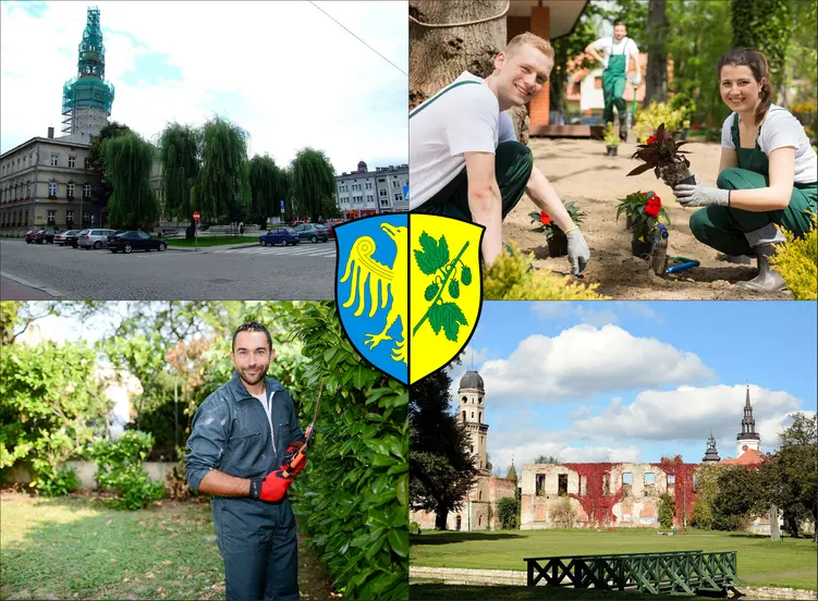 Strzelce Opolskie - cennik usług ogrodniczych - sprawdź lokalne ceny ogrodników