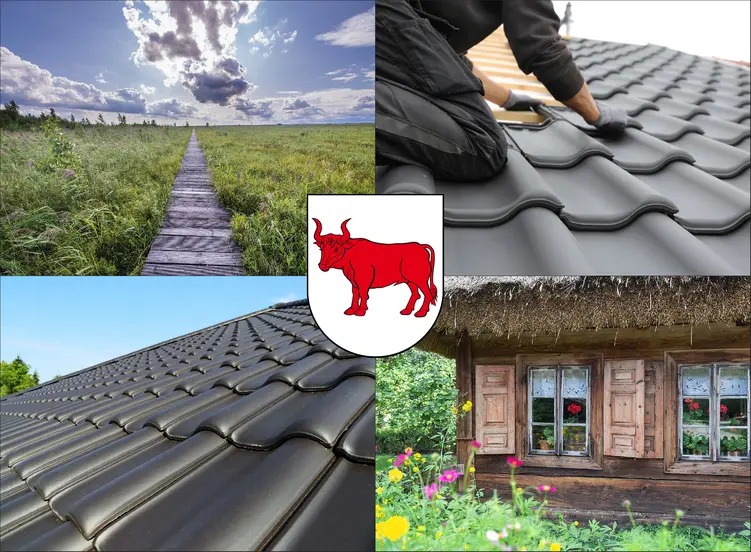 Bielsk Podlaski - cennik pokryć dachowych - sprawdź lokalne ceny dachówek