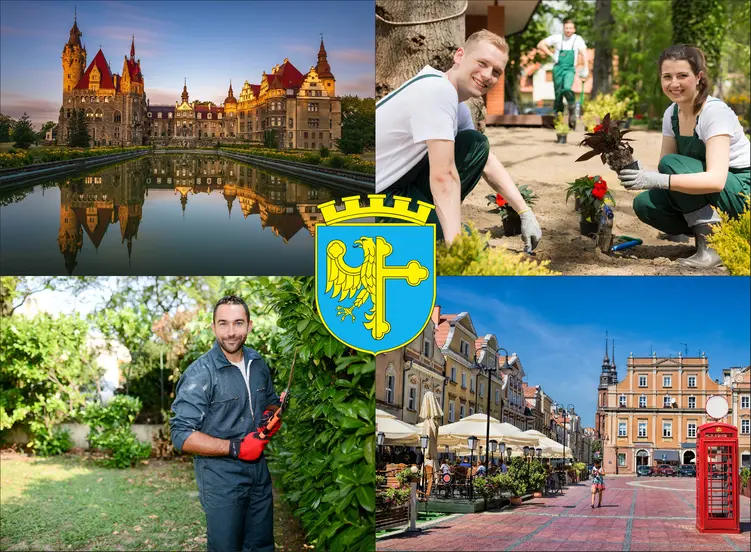 Opole - cennik usług ogrodniczych