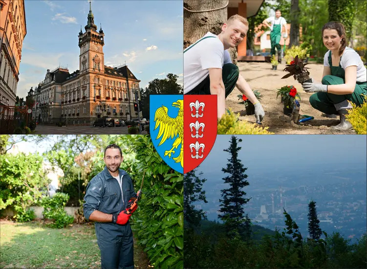Bielsko-Biała - cennik usług ogrodniczych