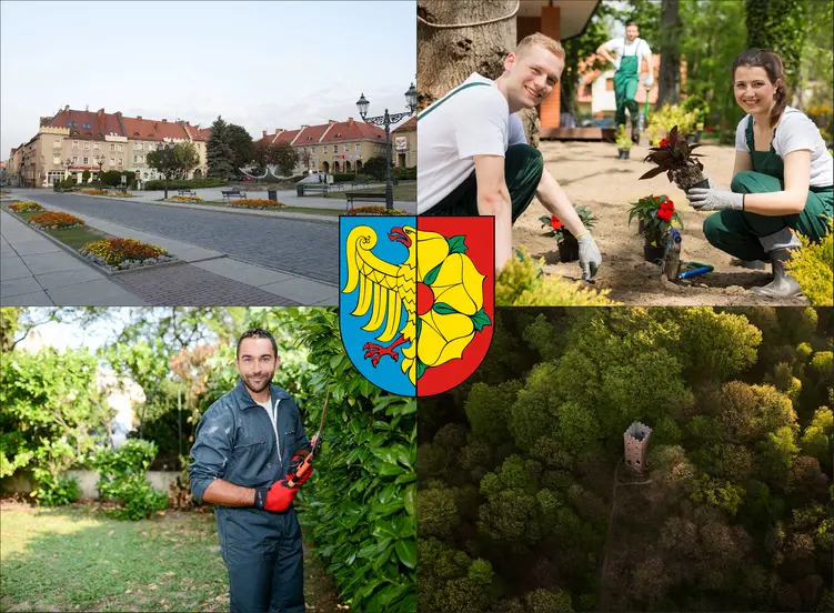 Wodzisław Śląski - cennik usług ogrodniczych - sprawdź lokalne ceny ogrodników
