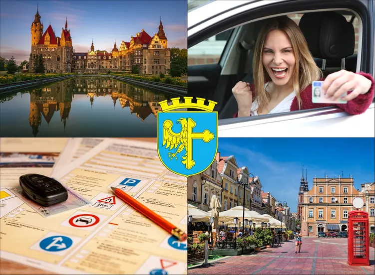 Opole - cennik kursów prawa jazdy