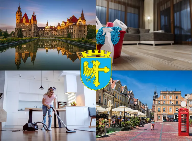 Opole - cennik sprzątania mieszkań - zobacz lokalne ceny firm sprzątających