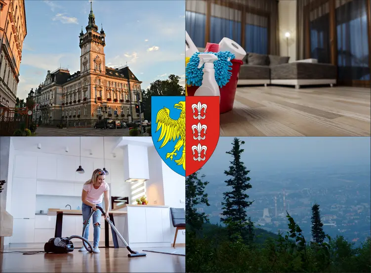Bielsko-Biała - cennik sprzątania mieszkań - zobacz lokalne ceny firm sprzątających