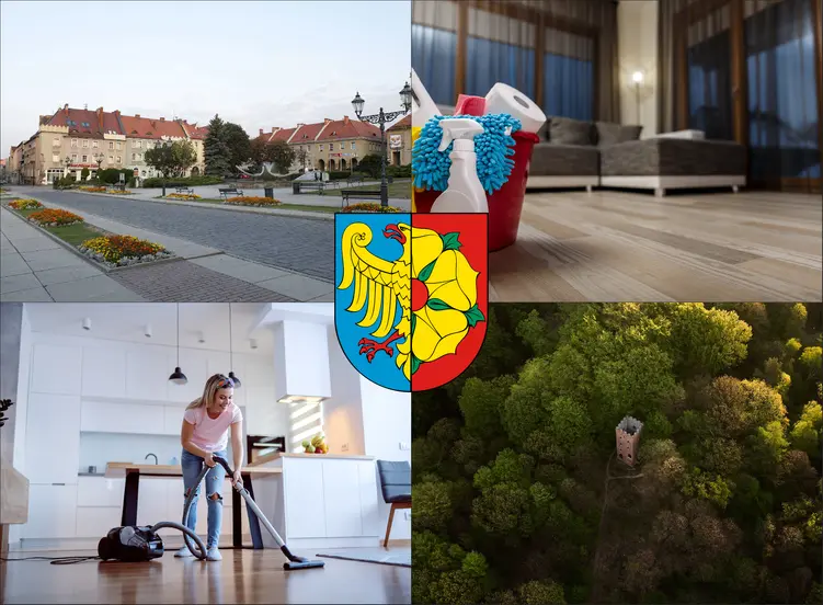 Wodzisław Śląski - cennik sprzątania mieszkań - zobacz lokalne ceny firm sprzątających