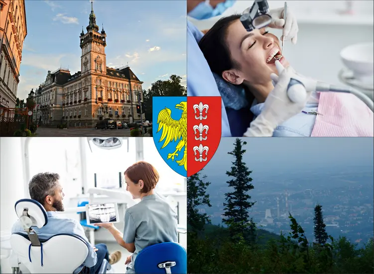 Bielsko-Biała - cennik stomatologów - sprawdź lokalne ceny dentystów