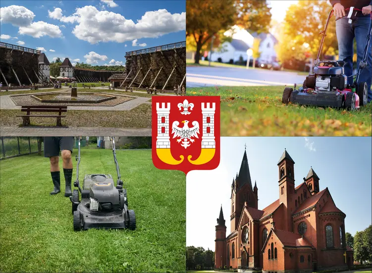 Inowrocław - cennik koszenia trawy - sprawdź lokalne ceny pielęgnacji trawnika