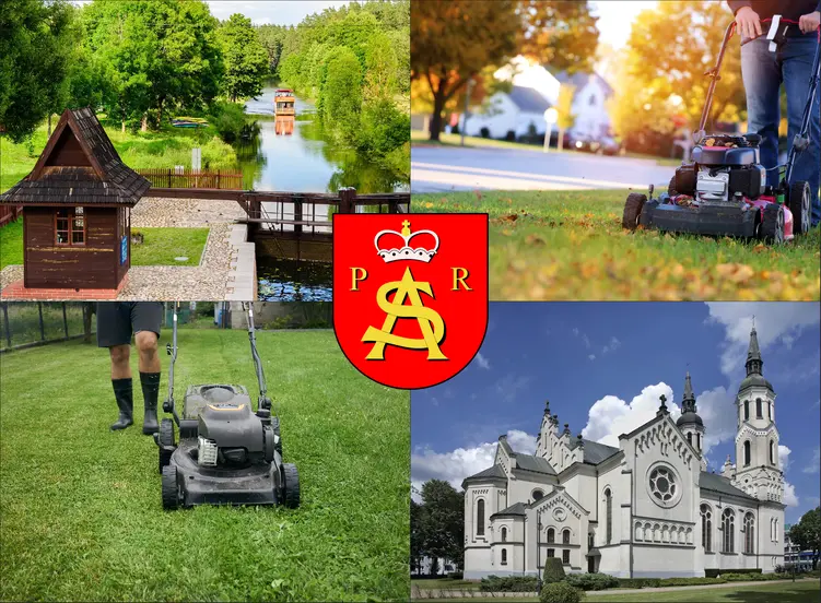 Augustów - cennik koszenia trawy - sprawdź lokalne ceny pielęgnacji trawnika