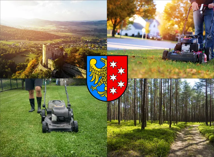 Lubliniec - cennik koszenia trawy - sprawdź lokalne ceny pielęgnacji trawnika