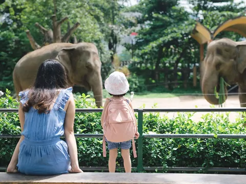 Cennik ZOO w Chorzowie - sprawdź ceny biletów, atrakcji, jedzenia