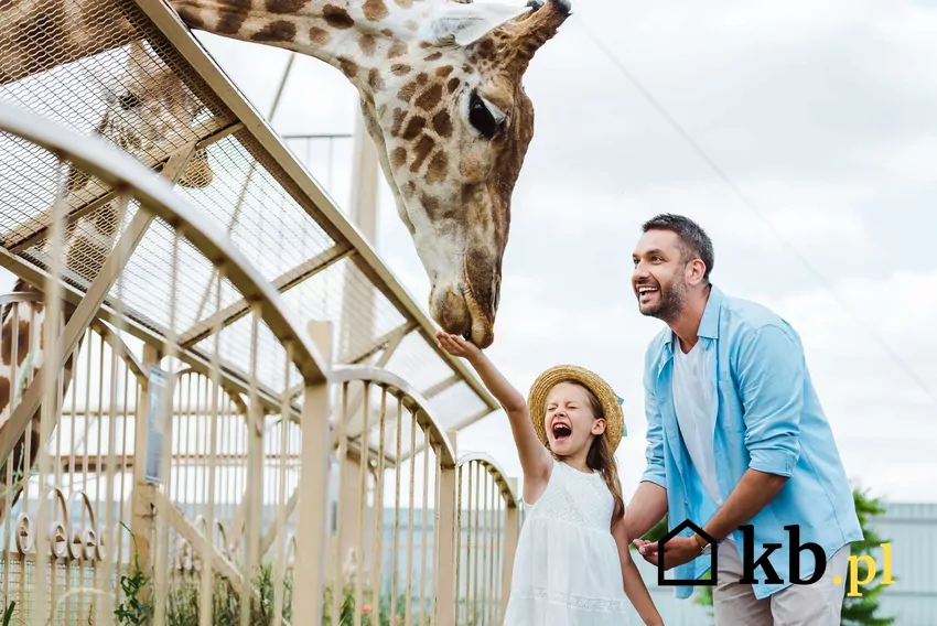 Rodzina zwiedzająca łódzkie ZOO