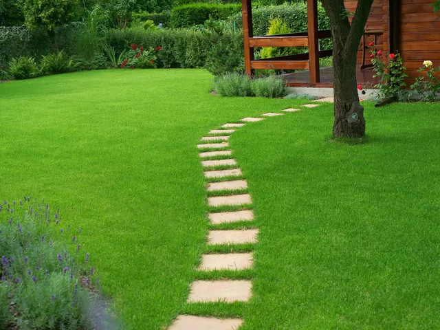 Cena wertykulacji i aeracji trawnika za m2: aktualne cenniki