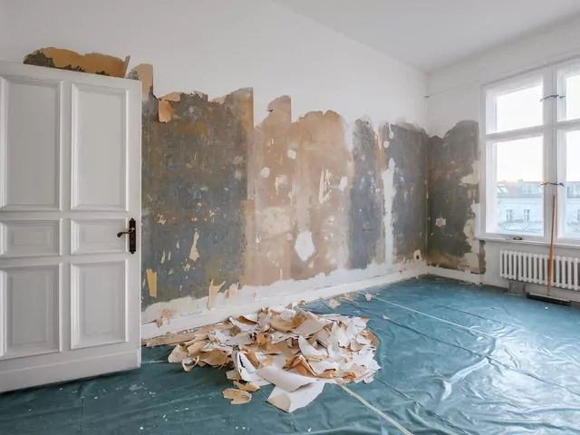 Ilustracja dla zrywanie starych tapet