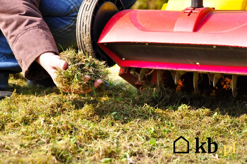 Cennik wertykulacji trawnika 2026 w ponad 300 miastach Wertykulacja trawnika - cennik