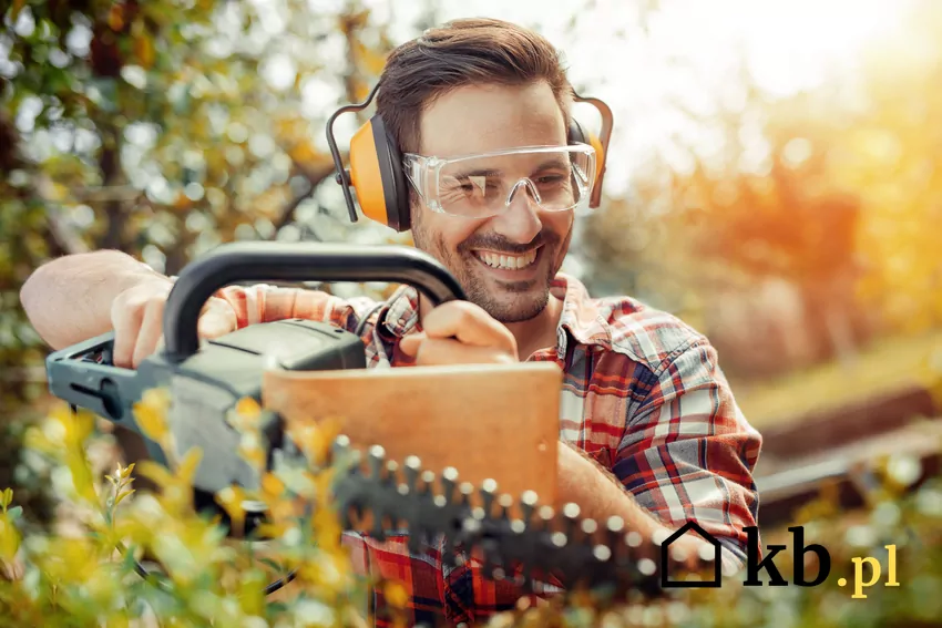 Cennik przycinania żywopłotów 2025 w ponad 300 miastach Przycinanie żywopłotów - cennik