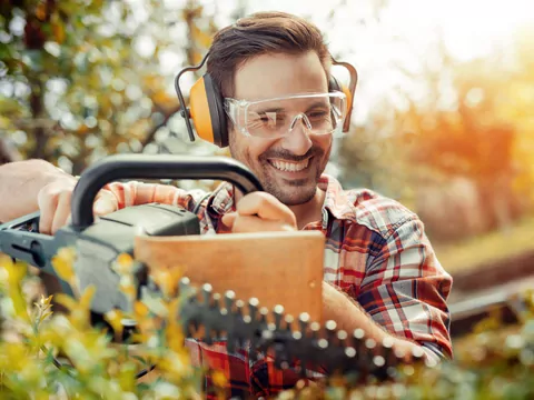 Ilustracja dla przycinanie żywopłotów