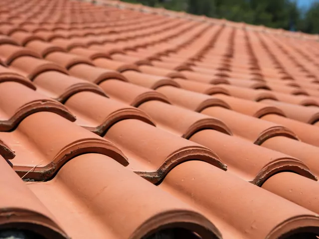 Ilustracja dla dachówka cementowa