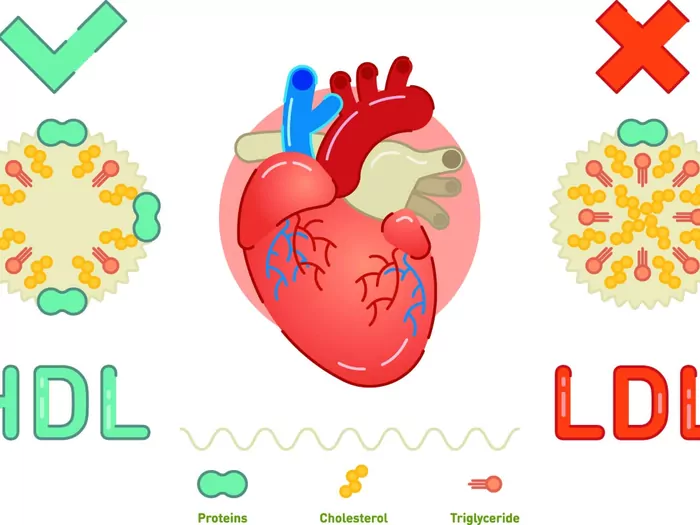 Ilustracja dla cholesterol