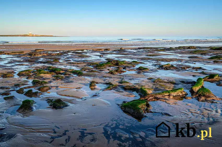 Zanikająca plaża Low Hauxley