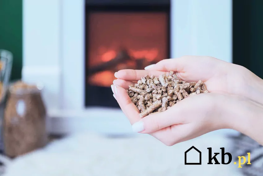 Dłonie trzymające drzewny pellet