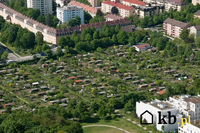 Rodzinne Ogrody Działkowe w mieście.