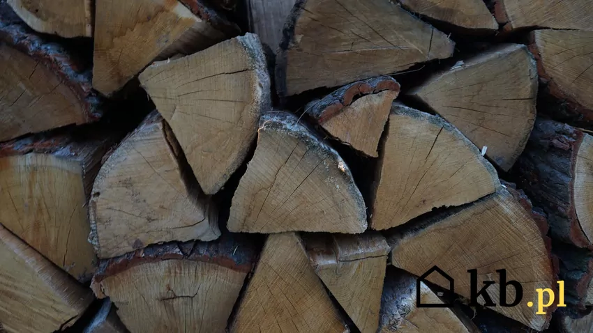 Twarde gatunki drewna, takie jak buk i dąb – najlepszy wybór do efektywnego spalania Przechowywane drewno na opał