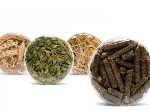 Pellet czy owiec? Czym palić w piecu?