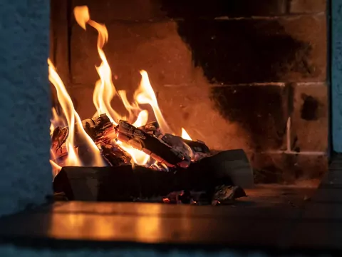 Grab czy jesion? Porównanie