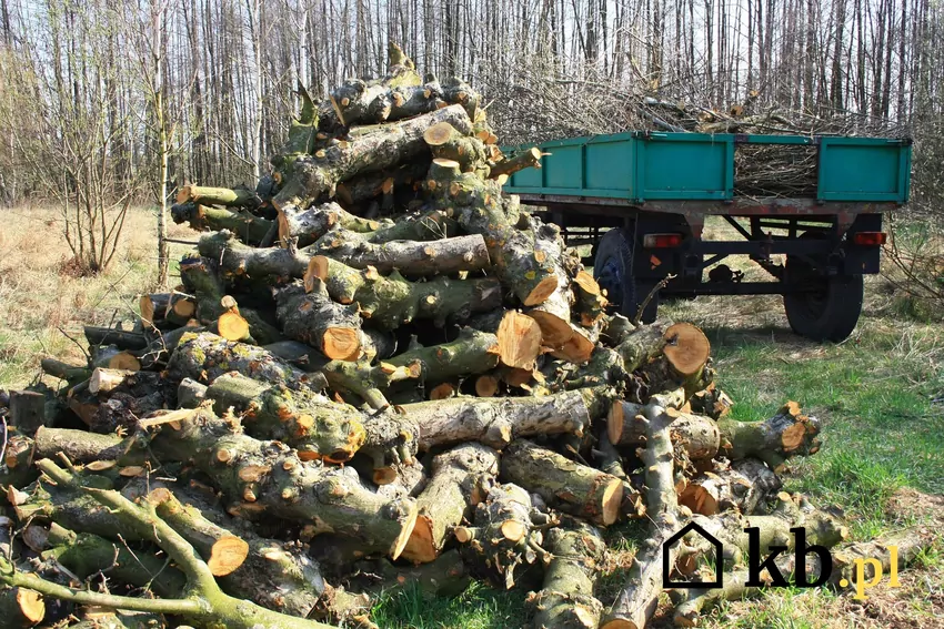 Wysoki stos drewna opałowego