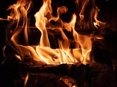 Drewno drzew owocowych do kominka