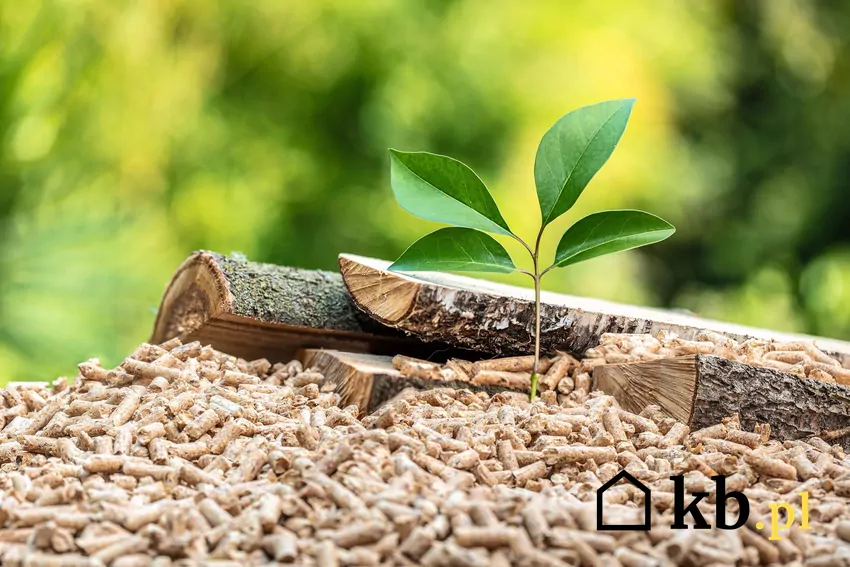 Wybór odpowiedniego pelletu to oszczędność i mniej pracy przy czyszczeniu Pellet