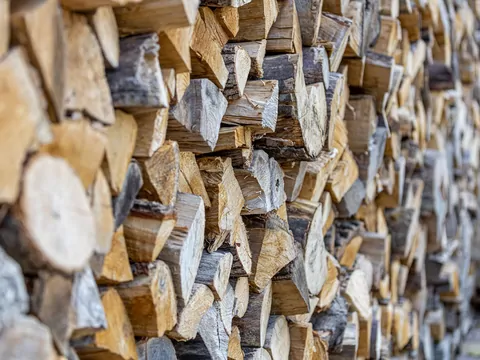 Najlepsze drewno do kominka