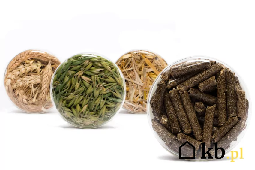 Sprawdź, które paliwa możesz bezpiecznie używać w piecu na pellet pellet, zboże, zamienniki pelletu