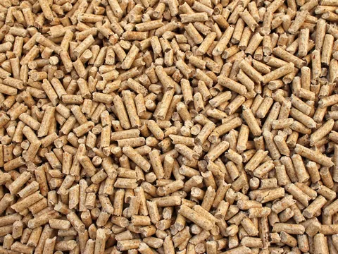 Pestki owoców wiśni jako alternatywa dla pelletu