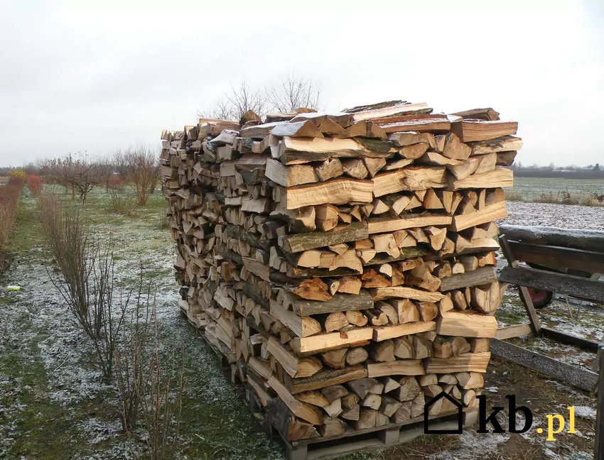 Porównanie drewna opałowego – grab, buk i akacja różnią się wartością energetyczną i czasem spalania. drewno opałowe