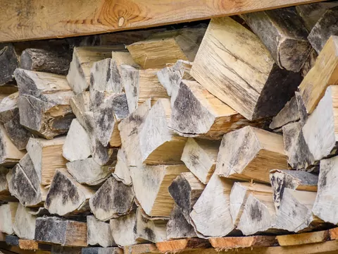 Grab, buk, akacja - porównanie drewna opałowego