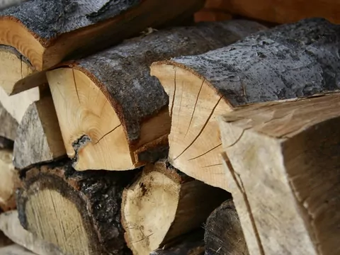 Jakie drewno daje najwięcej ciepła?