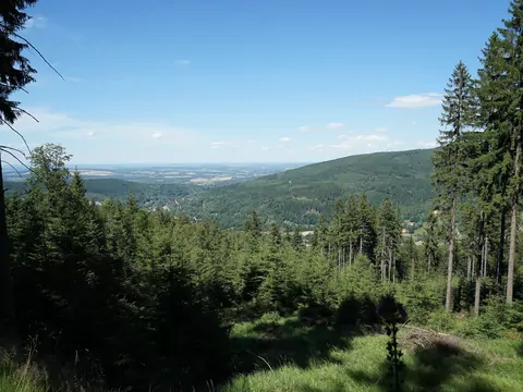 Czy warto inwestować w przedwojenny dom?