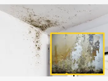 Ilustracja artykułu wilgoć na ścianach? gdzie szukać przyczyny mokrych zacieków?