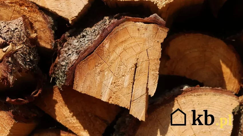 Drewno akacji jest twarde i bardzo wydajne Drewno akacji pocięte i ułożone w szczapkach na stosie przygotowanym do palenia