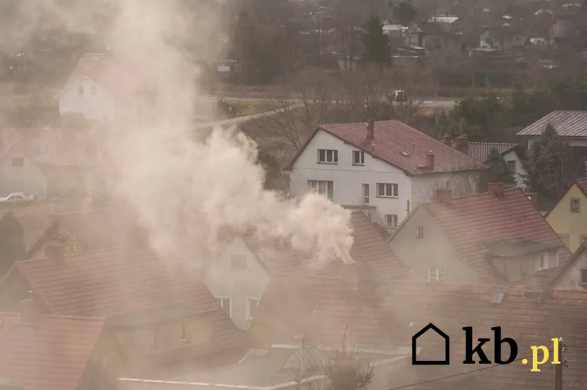 Gęsty dym z kominka – problem dla zdrowia i środowiska Gęsty dym wydobywający się z komina